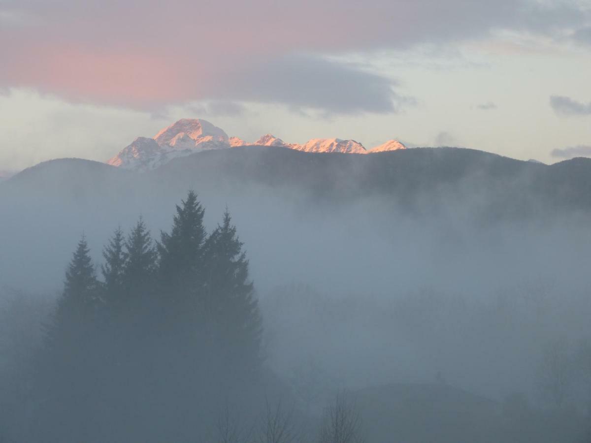 Splendide Vue Pyrenees, Rez De Jardin 2 Chambres Montjoie-en-Couserans Zewnętrze zdjęcie